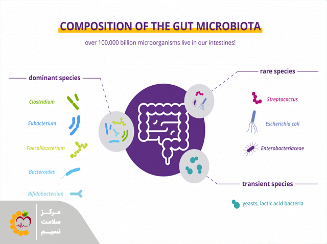 انواع میکروب ها 